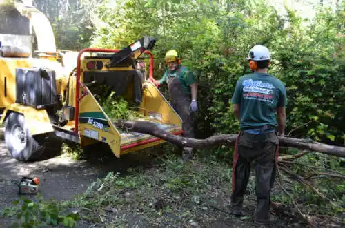 tree services Beardstown